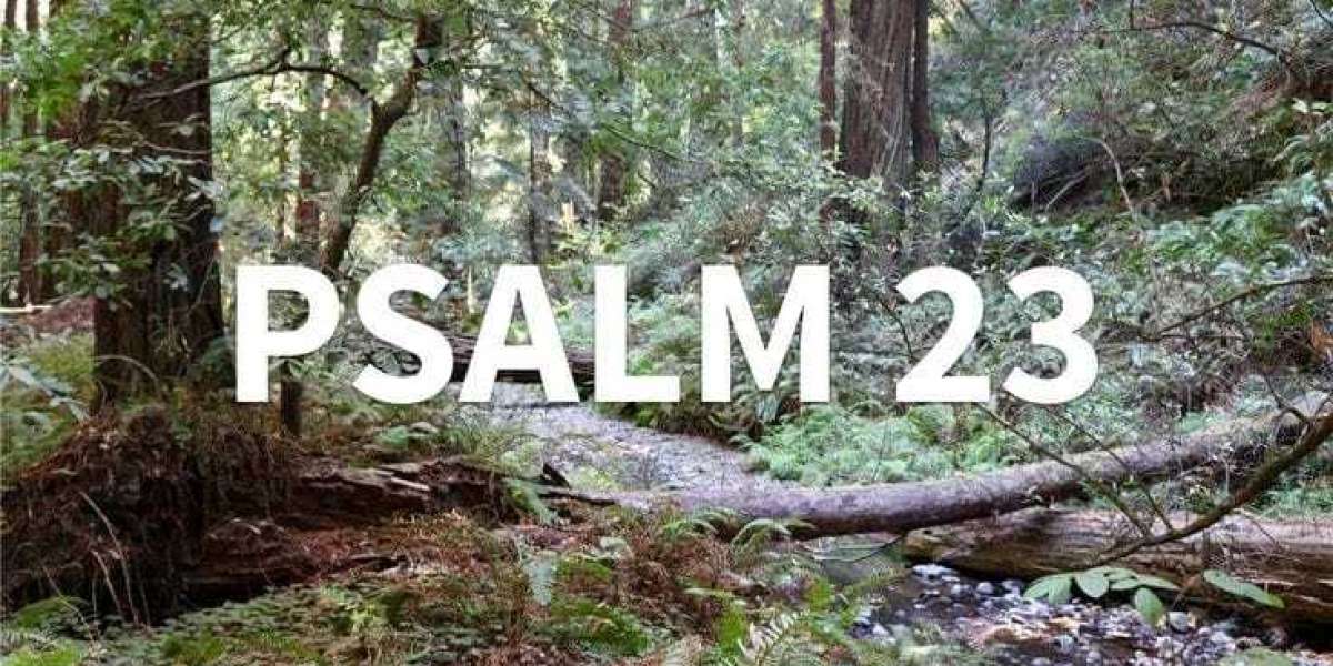 Psalms 23 (I am not alone)